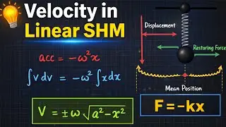 Velocity in Linear SHM Explained 🔥 | Class 11 and 12 Physics