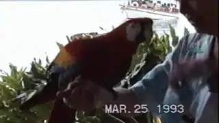Disney's Discovery Island Visit  |  March 1993  |  Walt Disney World
