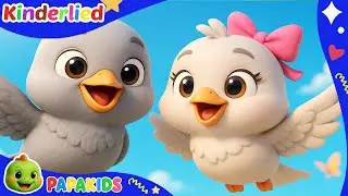 Zwei kleine Tauben 🕊️ | Beliebte Tierlieder & lustige Kinderlieder | Kinderlieder Sammlung