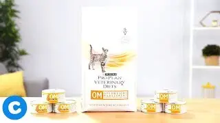 Purina Pro Plan Veterinary Diets Feline OM | Chewy