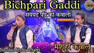 Bichpari Darbar Syed Peer Ki Qawwali l Naushad Shehzad Sabir l Yogesh bhagat ji l Baba Ji Kawwali