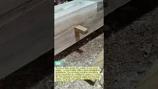Sturdy Wood Jointing Techniques &ndash; Meticulous Work Process.
