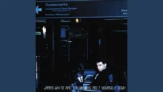 Melt Yourself Down