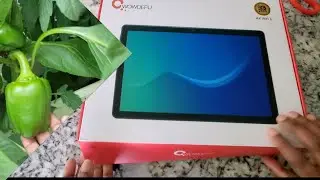 Mini veg garden/CWOWDEFU tablet /  Tablet 10.4 inch WiFi 6 Tablets Computer PC Android 11/Unboxing