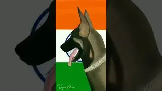 Illustration of Axel Army Dog | Digital Art of Army dog Axel | Army dog | Azadi ka amrut mahotsav 🇮🇳