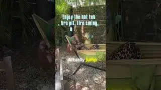 Epic Tampa Florida AirBNB Experience 🏠 #vacation
