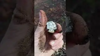 Exploring Chanctonbury Ring! Earthworks, Pottery pieces, shells, flints and alignments