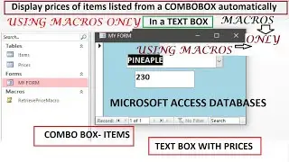 Display PRICES of ITEMS automatically in a TEXTBOX listed from a COMBO BOX | Using Macros Only