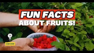 Top Fruits For Hydration, Sleep, and Anti‑aging! (2025)