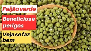 Feijão verde - benefícios e perigos