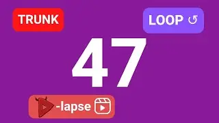 [SBST | Hyperlapse] Bus 47