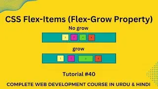 CSS Flexbox Tutorial for Beginners in Urdu & Hindi | Flex Grow |  Web Development Tutorials  #41