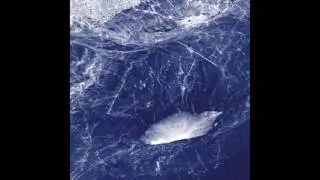 RM - h.b.i. [Yerevan Tapes]