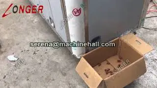 Palm Date Seed Pitting Machine|Core Removing Equipment Video