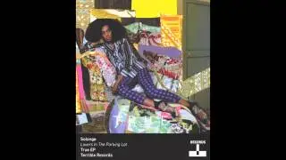Solange - Lovers In Parking Lots