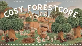 early morning forest core island tour // animal crossing new horizons