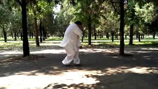 Liang BaGuaZhang Old Eight Palms  (Liang Lao Ba Zhang) Portland Oregon BaGuaZhang