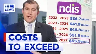 Review into NDIS is warning it's being treated as a 'limitless money pit' | 9 News Australia