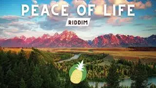 **FREE** Reggae Instrumental Beat 2021 | Peace of Life | AnanasKiste