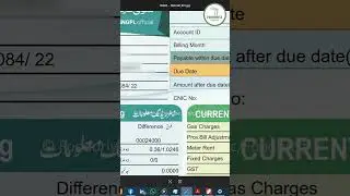 How to download Sui Gas SNGPL Bill  &ndash; Tutorial by Foodoriya Tech #viralvideo #technology
