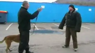 Doc vom Zeitzer Land