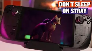 Stray is Definitely Worth It