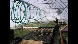 Overhead hose carriage / trolley for greenhouse watering