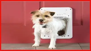 PetSafe Electronic SmartDoor   Collar Activated Dog and Cat Door   Small to Large Pets