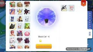 Ragnarok M : Eternal Love - All Pet in ROM