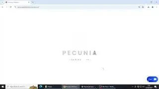 How to setup Masternode RavenCash with Pecuniaplatform