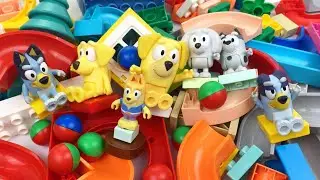 ASMR Marble Run Build & Play | Creative Coaster with Bluey the Dog & Cute Friends