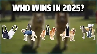 The Top 5 Best Assist Harness in 2025 - Must Watch Before Buying!