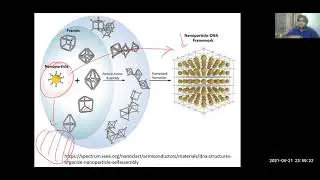 DNA based Nanoparticle self-assembly