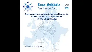 Democratic and Societal Resilience to Information Manipulation in the Digital Age