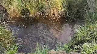 Water fall bach free stock video. Free for use & download. - No Copyright and Royalty Free Videos