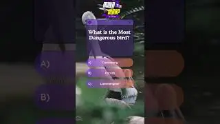 What is the Most Dangerous bird? #test #your #knowledge #challenge #yourself #now #quiz #shorts