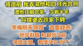 （完結爽文）領證前我弄濕他和白月光合照 ，遭他狂扇巴掌，冷戰半年“叫媒婆去許家下聘，準備明天領證”政委疑惑:她早辭職 和顧外交官，領證出國,都懷孕三月了#情感生活#老年人#幸福生活#出軌#家產#白月光