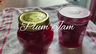 Plum Jam recipe | Easy Homemade jam # 홈메이드 자두 잼 