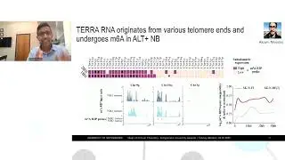 How RNA Mods Shape Cancer Biology: Epitranscriptome-Mediated Regulation in High-Risk Neuroblastoma