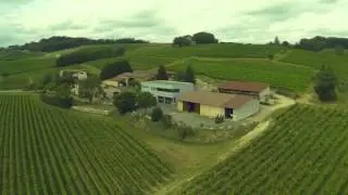 AOP Gaillac - Vins du Sud-Ouest