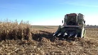 La treierat porumb 2013//corn harvest 2013 - 2xClaas, Braud 640, JohnDeere 3350, Fiat 980DT, Iveco
