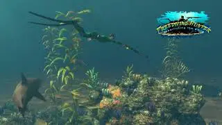 Freediving Hunter Spearfishing the World Shooting Show