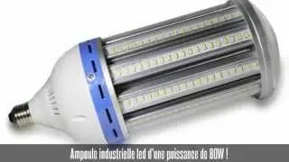 Ampoule industrielle led E27, 80W, blanc froid