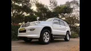 Restoration of  White Paint on a Toyota Prado Landcrusier. Made White Shine Like Glass.