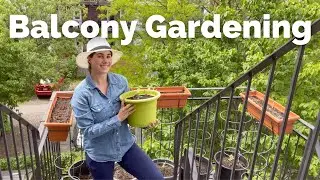 Setting Up My Balcony Garden | Gardening Series 2022 | Episode 3