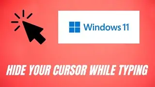 Hide your Mouse Cursor while Typing
