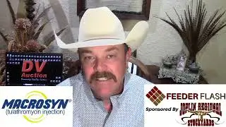 Feeder Flash 11/17:  Trump's Losing the Cattle Community
