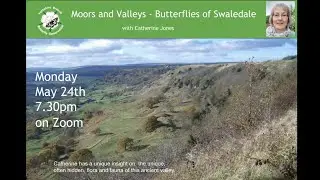 Moors and Valleys: The Butterflies of Swaledale