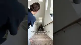 В нашем доме летали зефирки #шорты