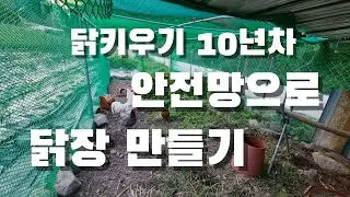 이번엔 안전망이다. 닭키우기 10년차의 닭장 만들기.이게 젤 나은듯